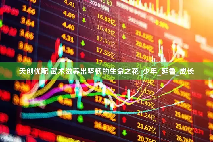 天创优配 武术滋养出坚韧的生命之花_少年_延鲁_成长