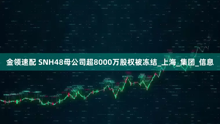 金领速配 SNH48母公司超8000万股权被冻结_上海_集团_信息
