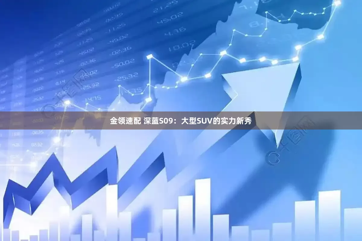 金领速配 深蓝S09：大型SUV的实力新秀
