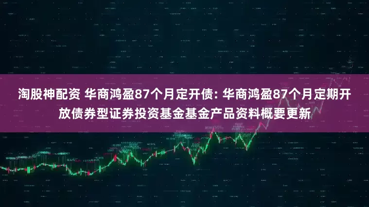 淘股神配资 华商鸿盈87个月定开债: 华商鸿盈87个月定期开放债券型证券投资基金基金产品资料概要更新