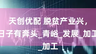 天创优配 脱贫产业兴，日子有奔头_青峪_发展_加工