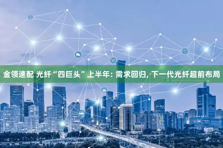 金领速配 光纤“四巨头”上半年: 需求回归, 下一代光纤超前布局