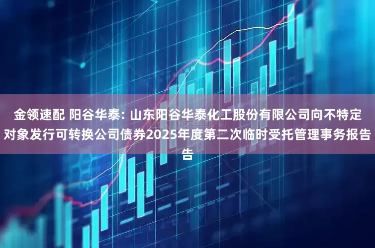 金领速配 阳谷华泰: 山东阳谷华泰化工股份有限公司向不特定对象发行可转换公司债券2025年度第二次临时受托管理事务报告