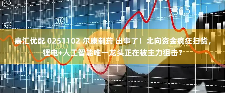嘉汇优配 0251102 尔康制药 出事了！北向资金疯狂扫货，锂电+人工智能唯一龙头正在被主力狙击？